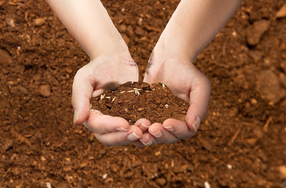 Soil in hands - Soil background