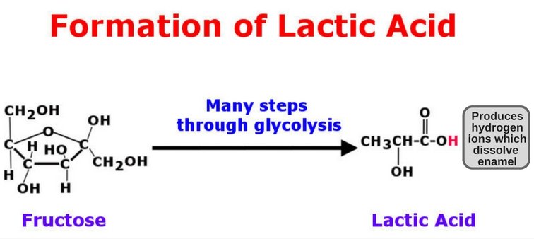 Formação de ácido láctico