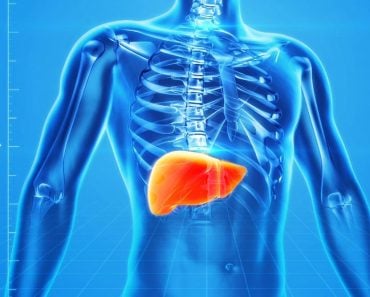Liver in human body