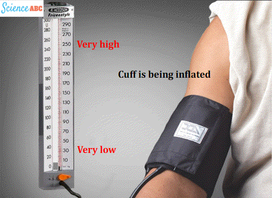 Esfigmomanômetro pressão arterial leitura