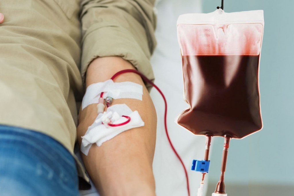 Donating Blood Helps Lose Weight