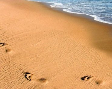 Orange sand beach