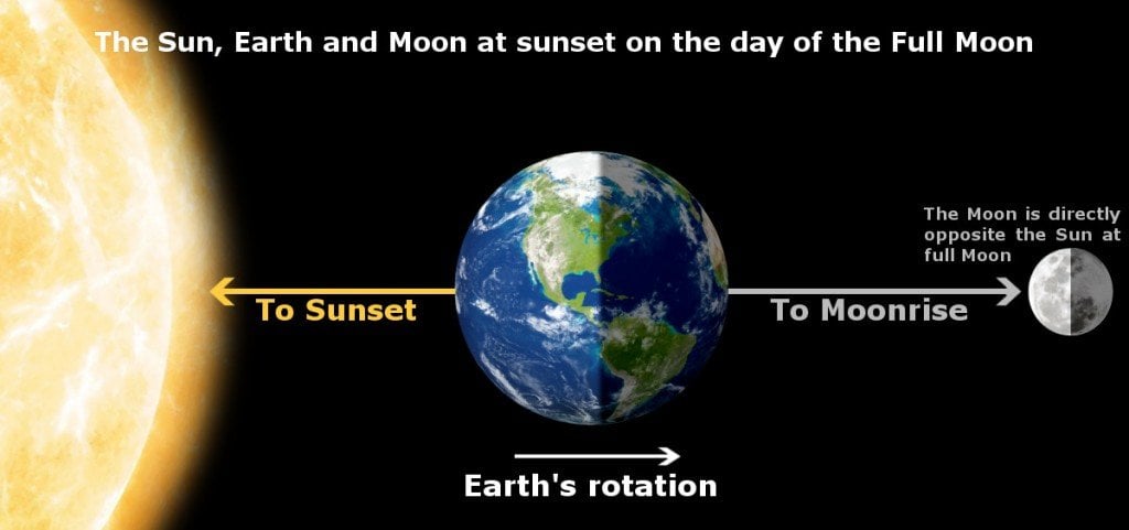 Why Do We Sometimes See The Moon During Daytime Science Abc