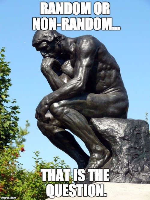 What Are the Most Common Misconceptions About Evolution? » Science ABC