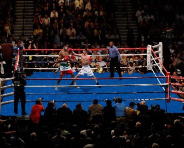 Boxing ring