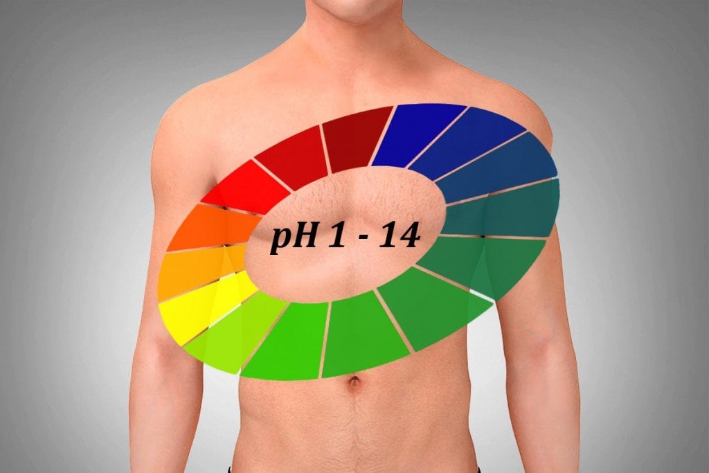 pH in the Human Body