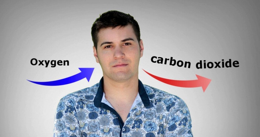 Why Does the Human Body Release Carbon Dioxide?