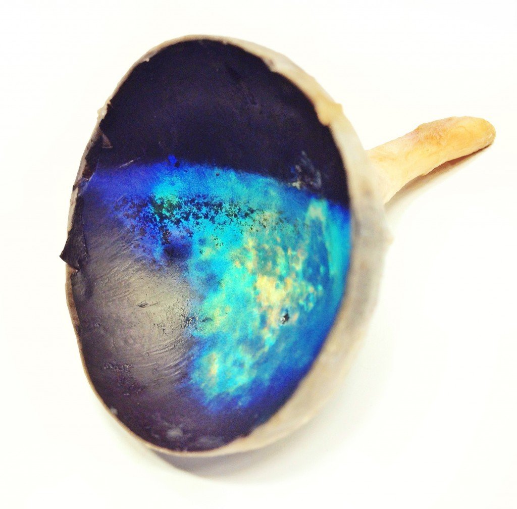 Tapetum lucidum do olho de uma vaca