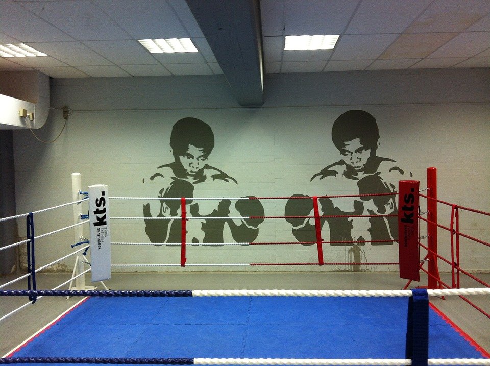 Anel de boxe