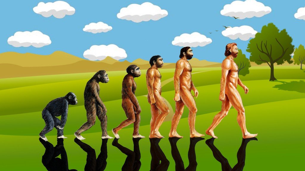 Quais são os equívocos mais comuns sobre a evolução?