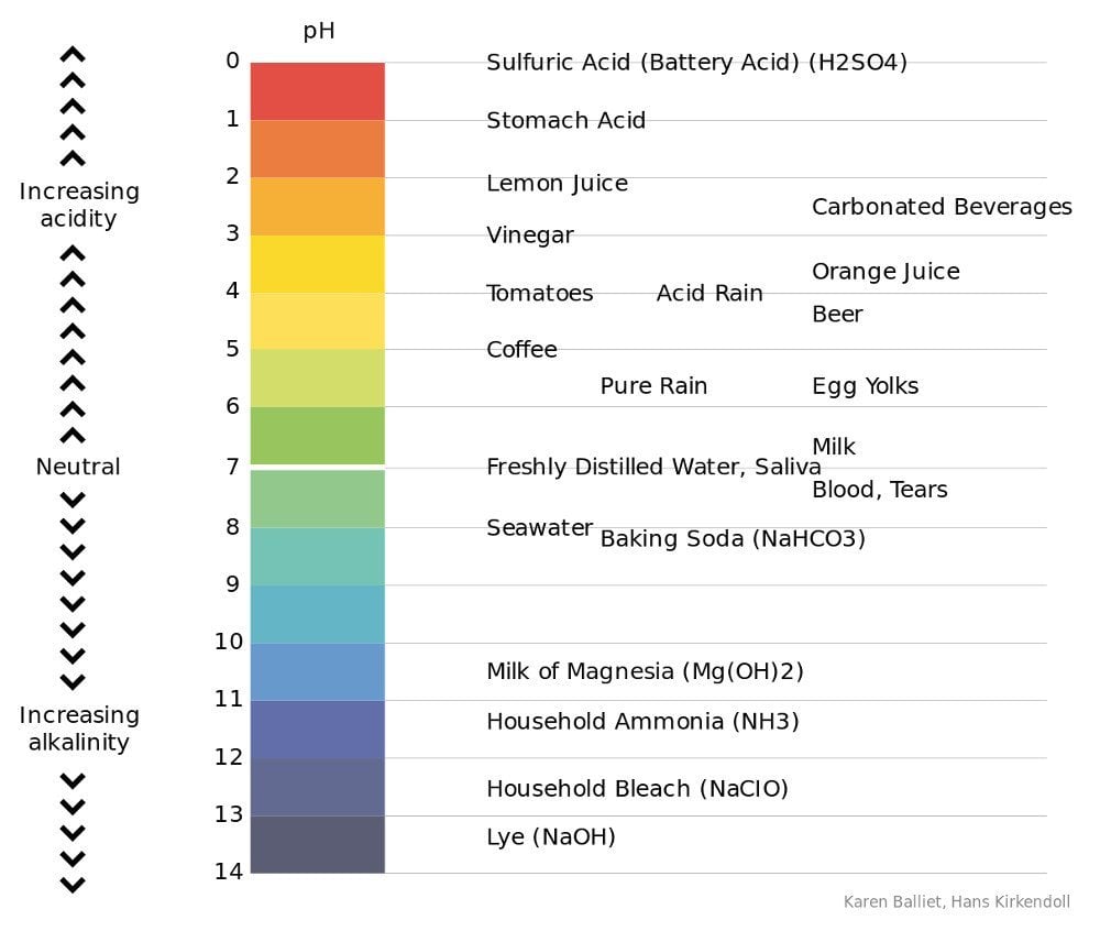 Amino Acid Ph Chart