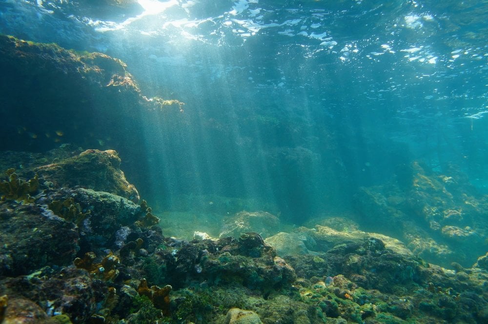 Underwater sunbeams through the water surface viewed from the seabed on a reef of the Caribbean sea, natural scene ocean (Seaphotoart)(s)