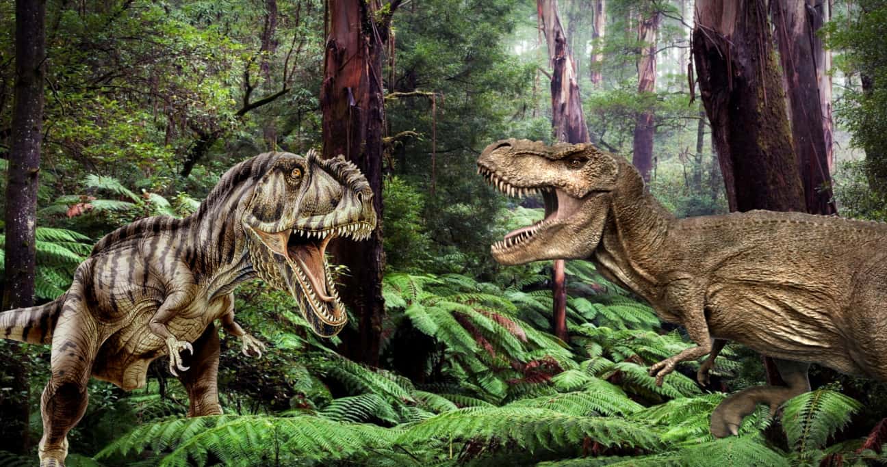 T Rex Size Comparison Chart