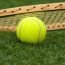 scientific analysis of michael phelps s body structure why does a tennis ball have fuzz