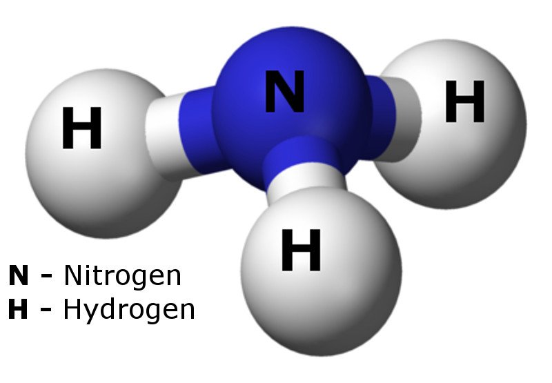 Is Ammonia An Acid Or Base? » ScienceABC