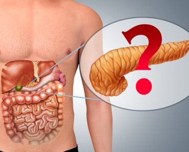 Pancreas in Human body