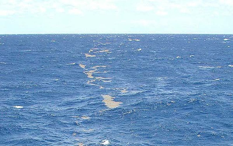 sargasso sea sargasso sea