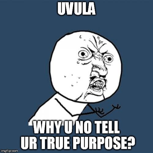 , Vad Är Uvula Och Vad Gör Det?, Science ABC, Science ABC
