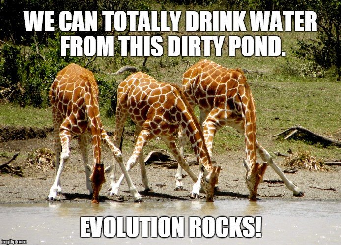 Can You Get Sick From Drinking Lake Water Can You Get Sick From Drinking Lake Water
