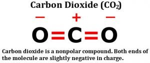 Is Carbon Dioxide (CO2) Polar Or Nonpolar? » Science ABC