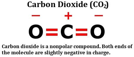 carbon dioxide co2 polar nonpolar structure bonds bond molecule effect look considered combined must let then these