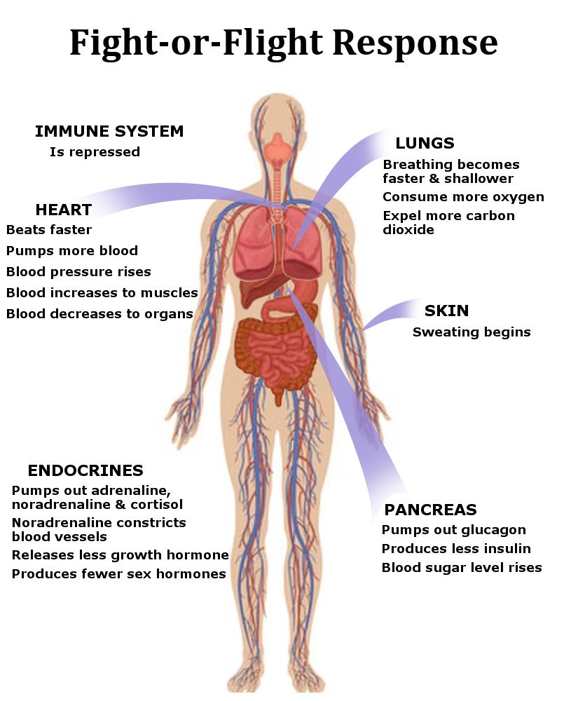 Why Do Some People Not Feel Hungry When They're Stressed? » ScienceABC