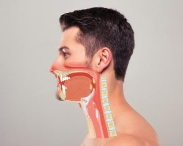 Food Pipe (Oesophagus) & Windpipe (Trachea) featured image