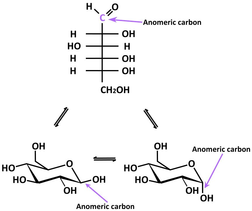 What's The Difference Between Epimers And Anomers? » ScienceABC