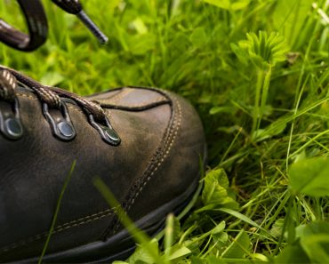 Bacteria killed by feet shoes on green little plants garden
