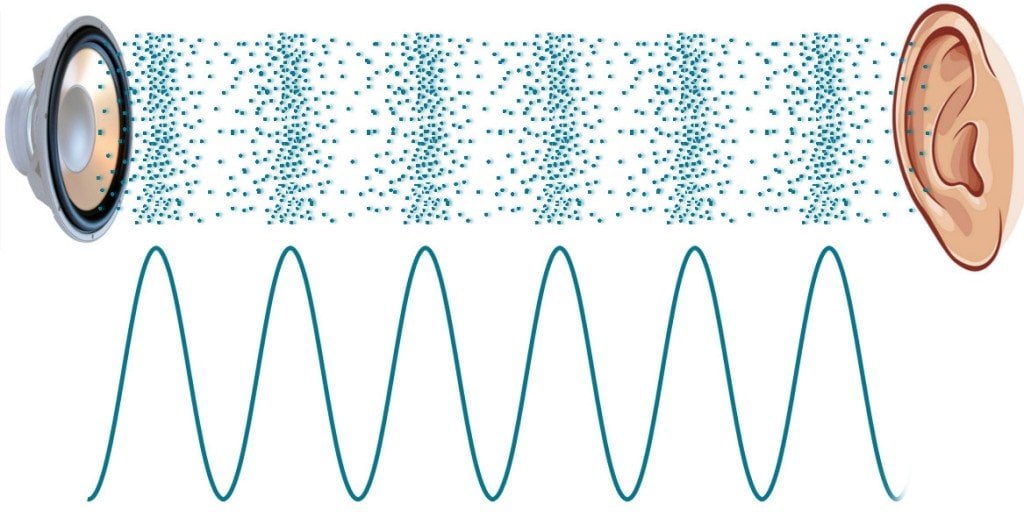 Pin by Beverley Pershouse on Lab Kids | Sound waves, Science fair