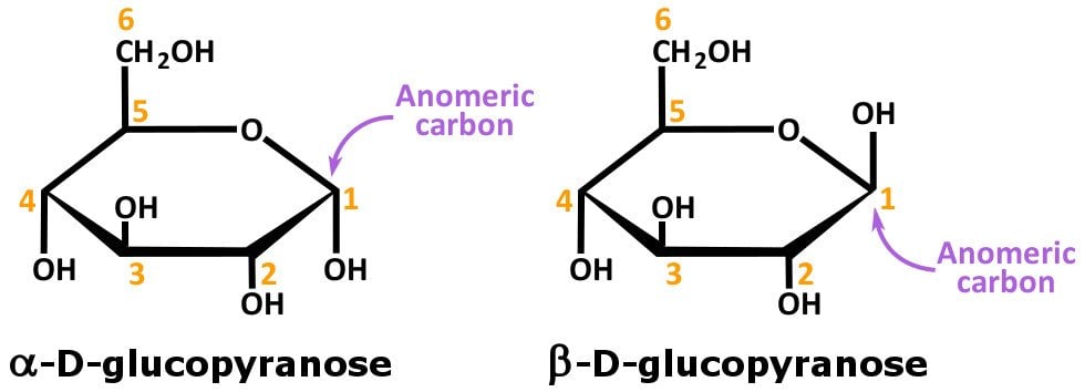 anomeric carbon definition anomeric carbon definition