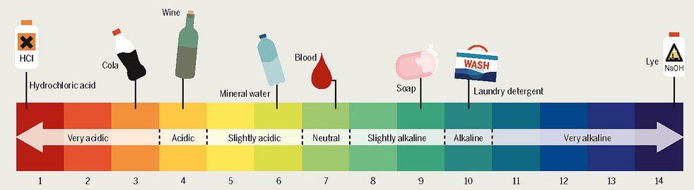 According To The Ph Chart Which Is The Strongest Base