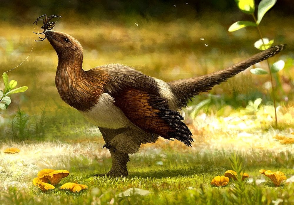 Are Birds Dinosaurs : 'Dinosaurs Among Us' Exhibit Explores the Link Between ... : We did not find results for: