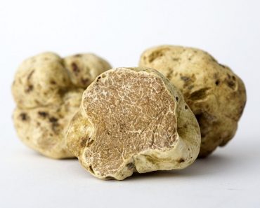 White truffle