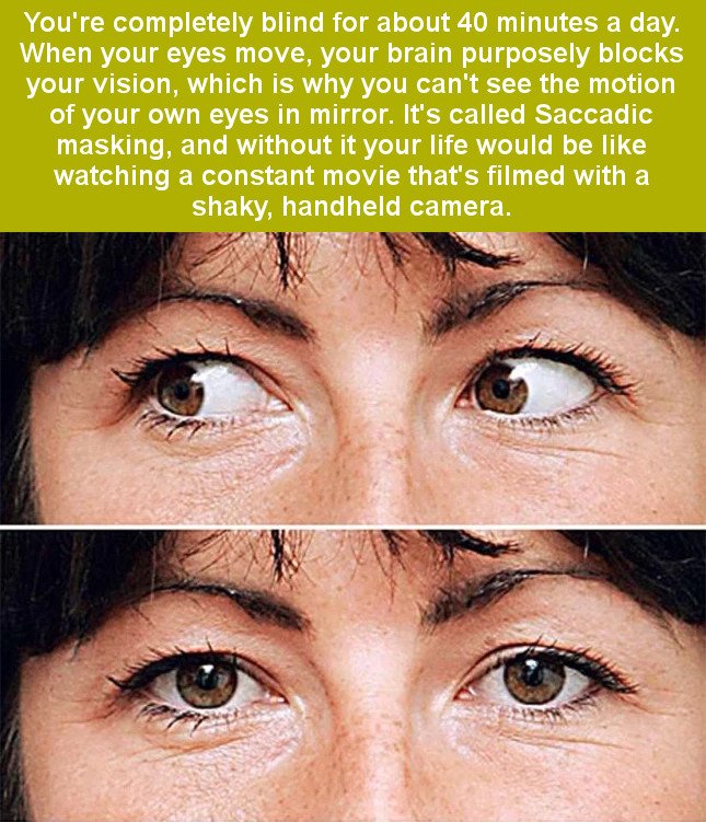 Saccadic Masking Definition, Benefits and Drawbacks