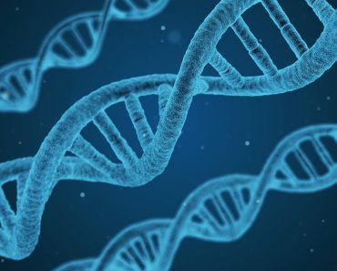 DNA wallpaper