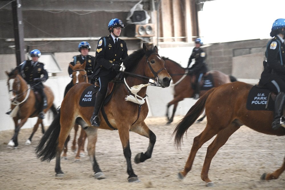 Mounted cops riding