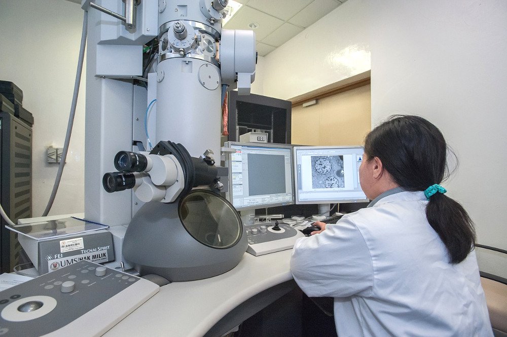 Scientists watching in electron microscope