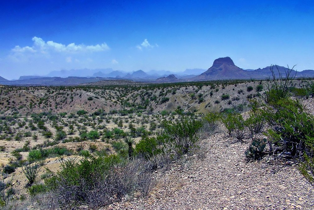 Paisagem do texas