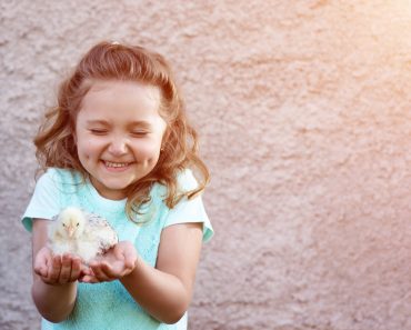 a cute girl in a blue t-shirt with dimples on her cheeks holds a chicken in her hands and squints with emotion and delight - Image(AHOOLY)s