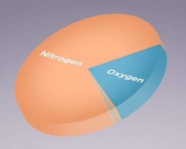 Gases nitrogen oxygen