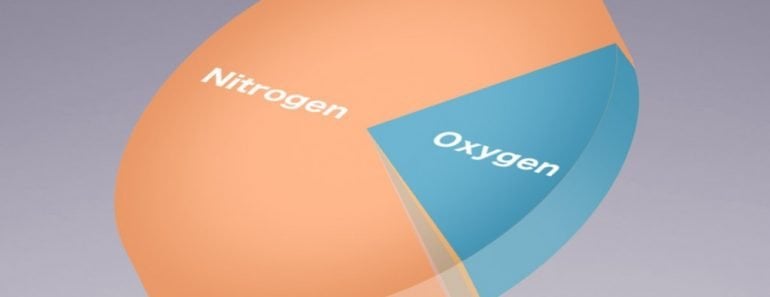 Gases nitrogen oxygen