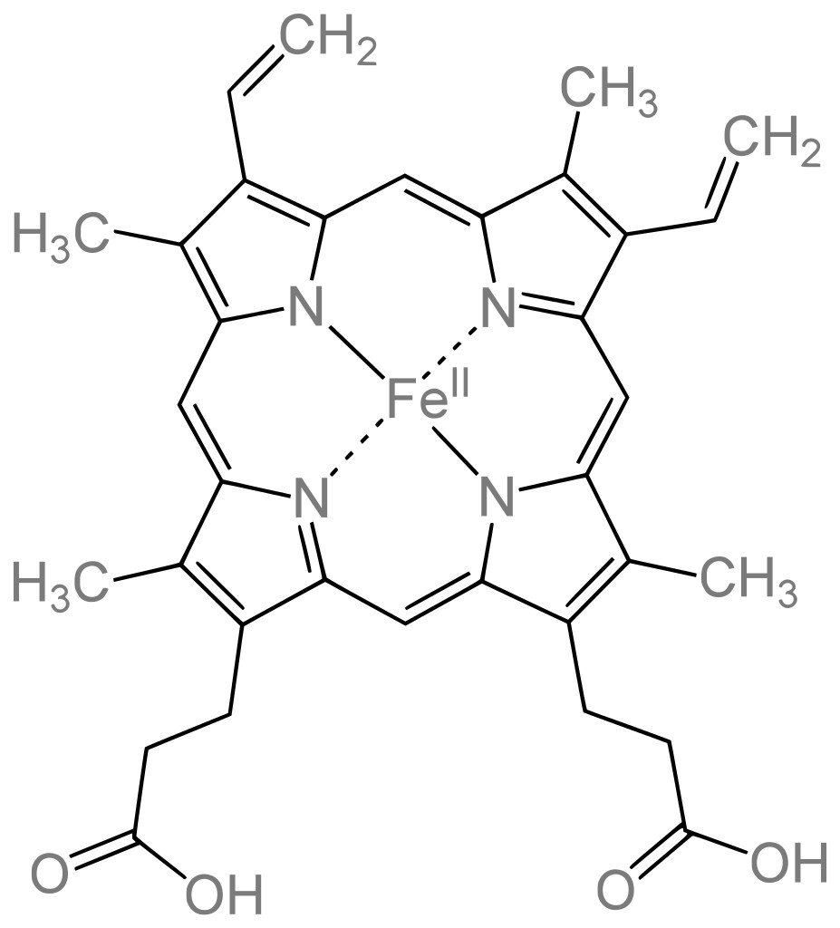 Estrutura heme b