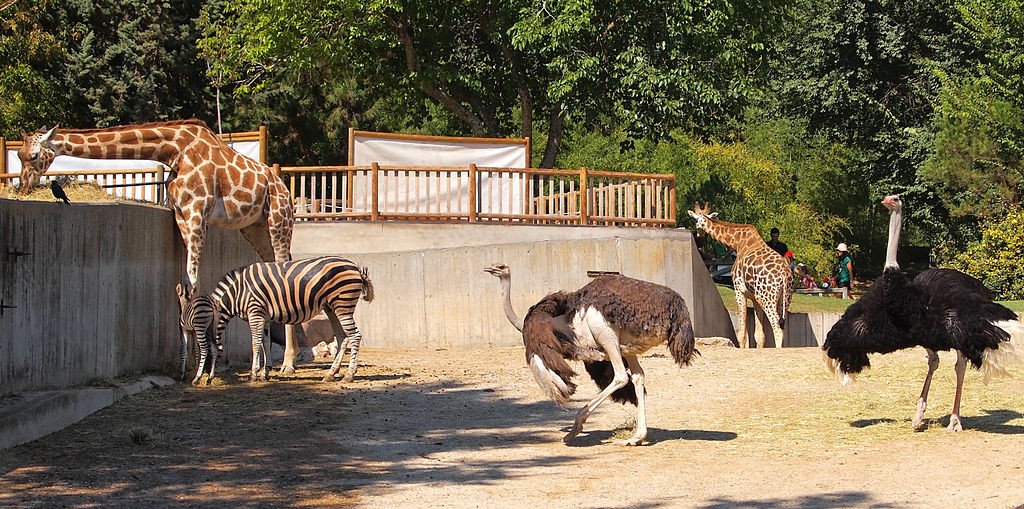 Zoológico de Madri