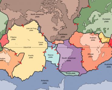 The key principle of plate tectonics