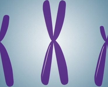 chromosome DNA biology