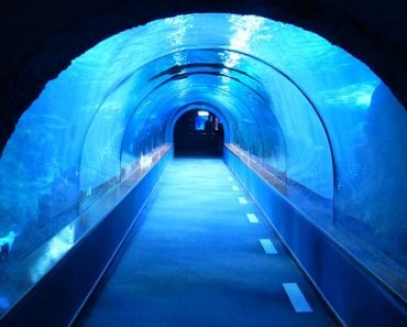 underwater tunnel