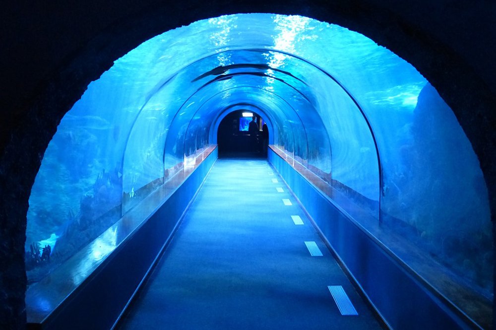 underwater tunnel