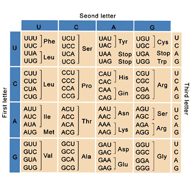 Mutation Chart