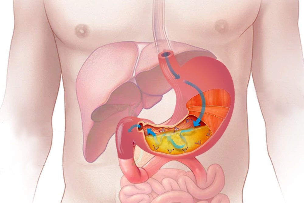 how do microbes survive